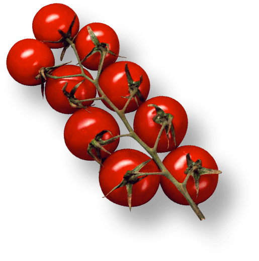 h3-shape1